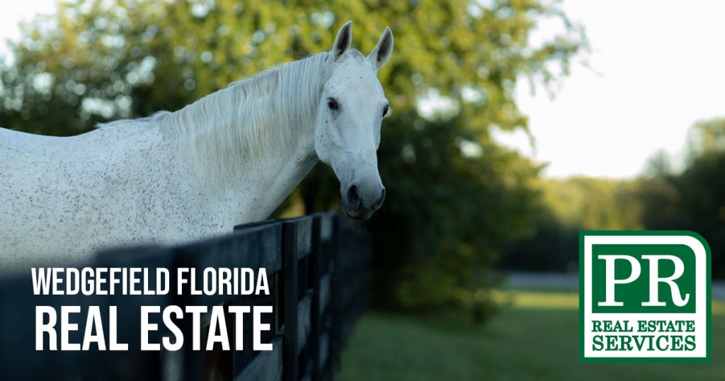 Wedgefield Florida Real Estate Horse